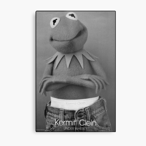 Kermit Clein Metal Print