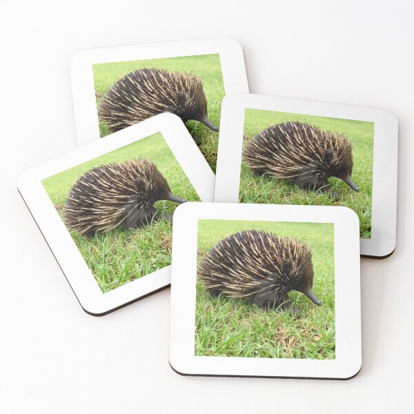Item preview, CUTE ECHIDNA designed and sold by trevorp.