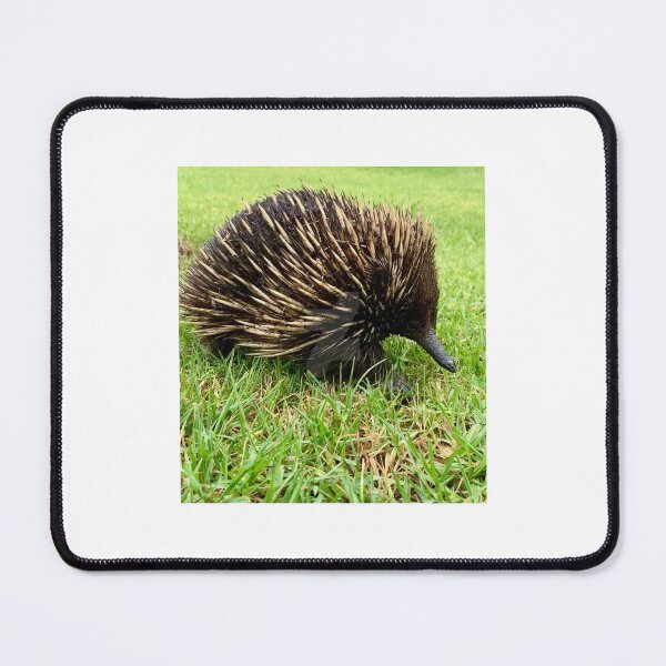 Item preview, CUTE ECHIDNA designed and sold by trevorp.
