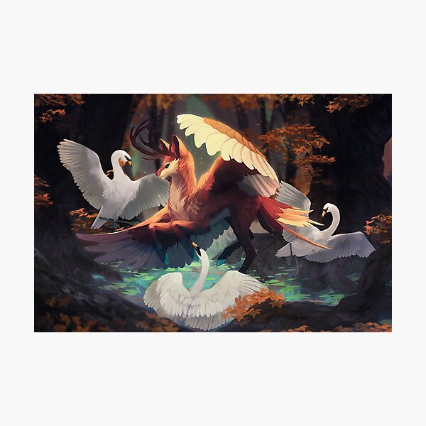 swan song Photographic Print
