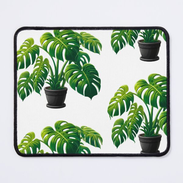 Item preview, Monstera Deliciosa, Potted Houseplant in Black Pot - No Outline designed and sold by Star-Fragment.