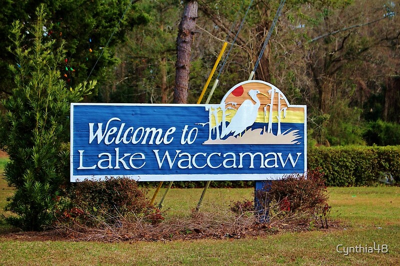To Lake Waccamaw" by Cynthia48 Redbubble