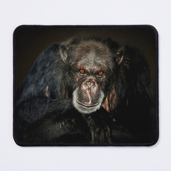 Item preview, Chimpance designed and sold by Savannah Gibbs.