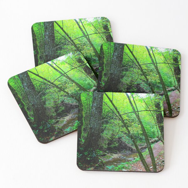 Item preview, Scenery from Sarnano with the path to Cascata del Pellegrino with river, rocks, tree, trunks, greenery designed and sold by Kristina Drozd.