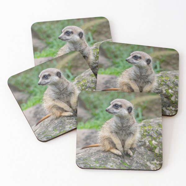 Item preview, Baby Meerkat designed and sold by Artsemg.