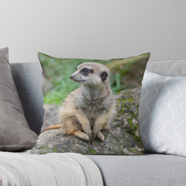 Item preview, Baby Meerkat designed and sold by Artsemg.