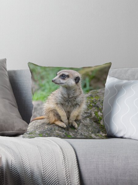 Item preview, Baby Meerkat designed and sold by Artsemg.