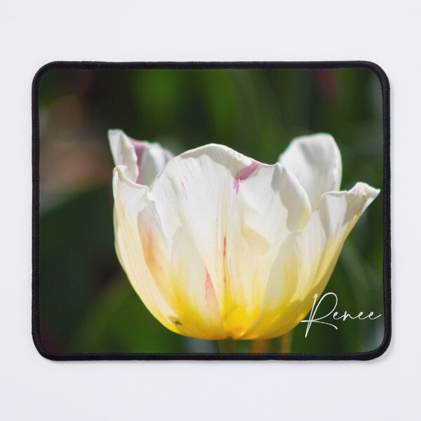 Item preview, yellow white tulip designed and sold by RREID84.