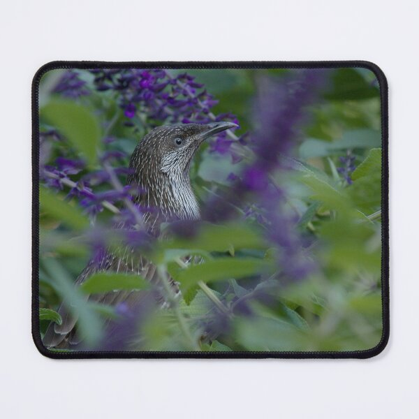 Item preview, Honeyeater Bird designed and sold by Kim Chi Thai.