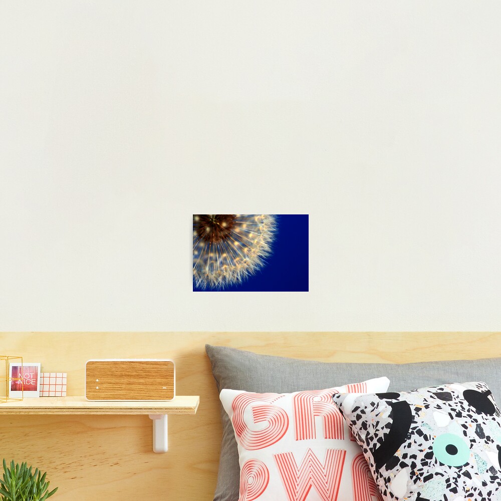 Item preview, Photographic Print designed and sold by idnurse41.