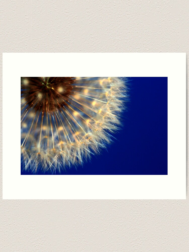 Thumbnail 1 of 3, Art Print, Nature's Ferris Wheel designed and sold by idnurse41.