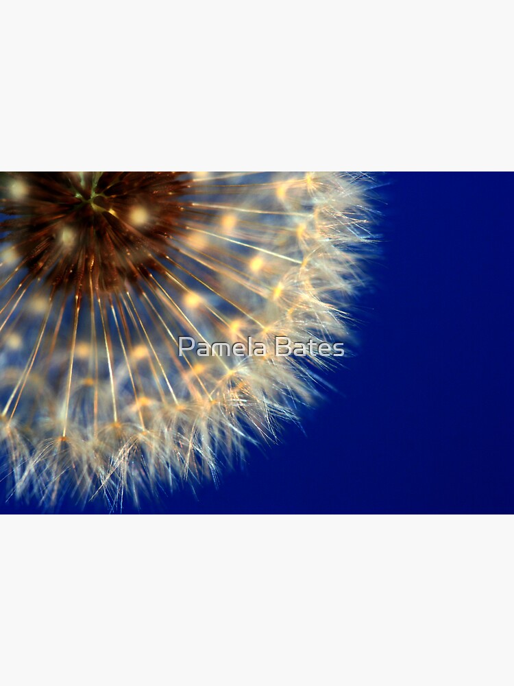 Thumbnail 3 of 3, Art Print, Nature's Ferris Wheel designed and sold by idnurse41.
