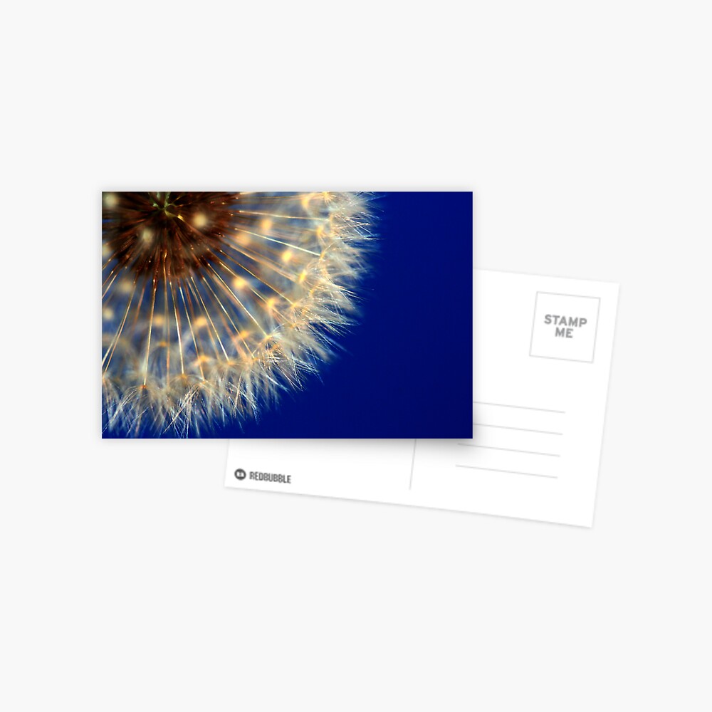 Item preview, Postcard designed and sold by idnurse41.