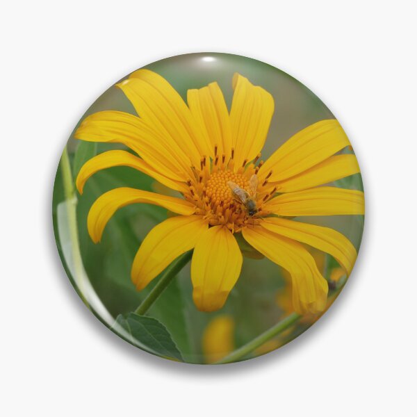Item preview, Bee Enjoying Pollen on Bright Yellow False Sunflower designed and sold by jaynerushton.