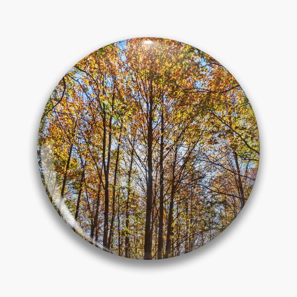 Item preview, Autumn in Vasilitsa mountain designed and sold by Hercules Milas.