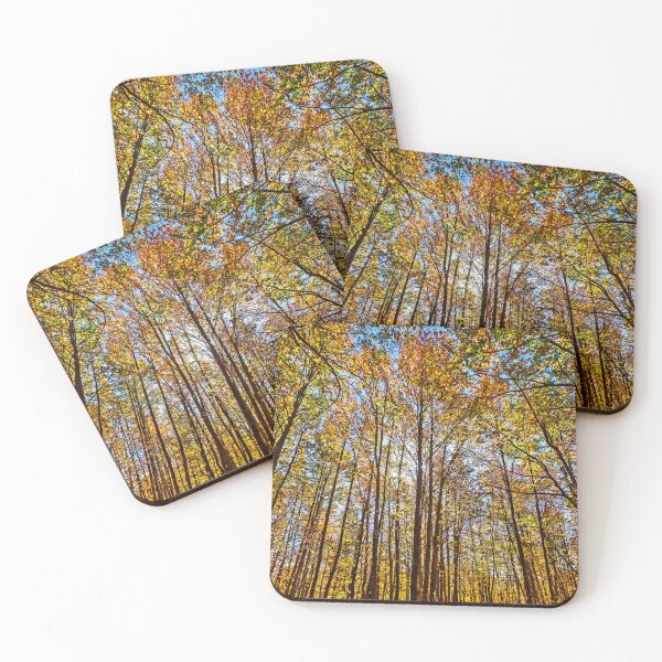 Item preview, Autumn in Vasilitsa mountain designed and sold by Hercules Milas.