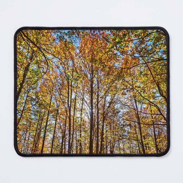 Item preview, Autumn in Vasilitsa mountain designed and sold by Hercules Milas.