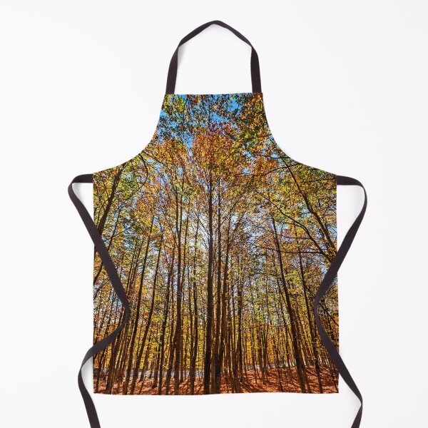 Item preview, Autumn in Vasilitsa mountain designed and sold by Hercules Milas.