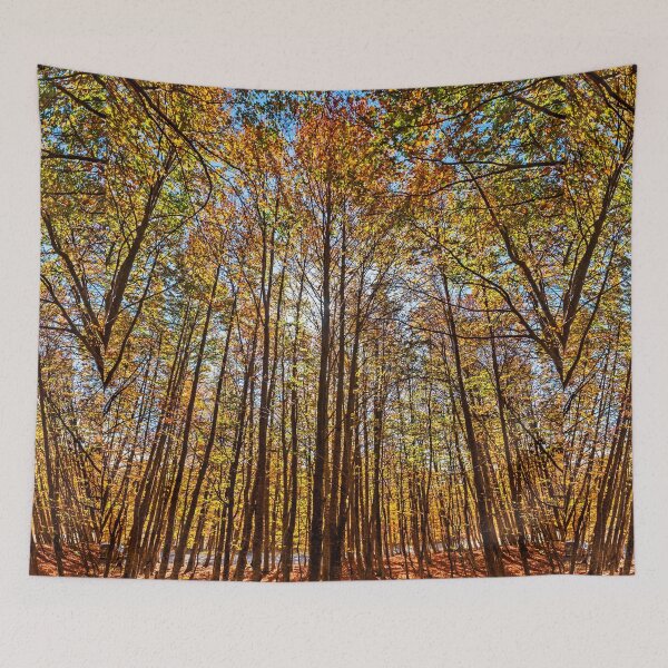 Item preview, Autumn in Vasilitsa mountain designed and sold by Hercules Milas.