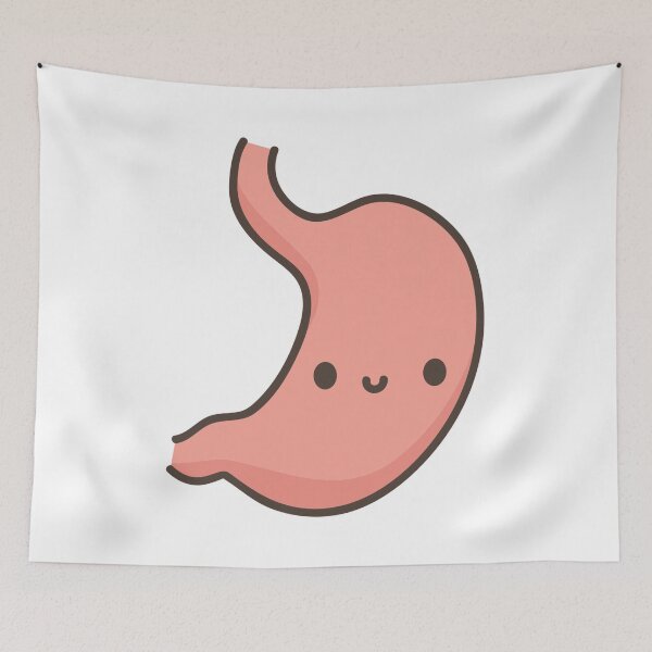 Item preview, Internal organs | stomach designed and sold by DerSenat.