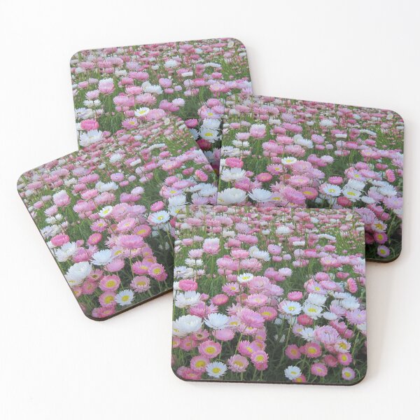 Item preview, Desert Blooms designed and sold by LizEllisPhotos.