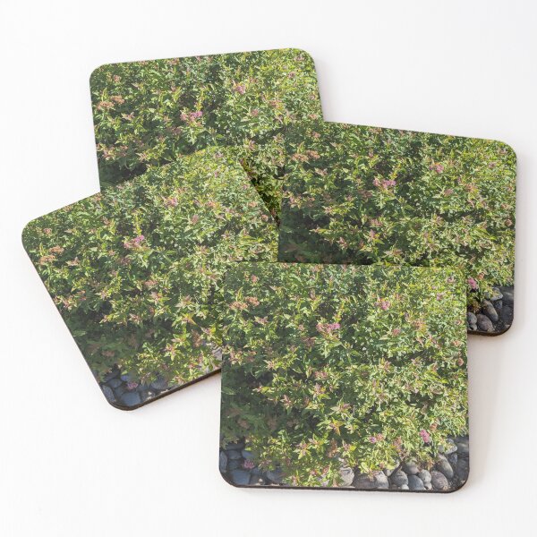 Item preview, Flowering bush designed and sold by ZMCInc.