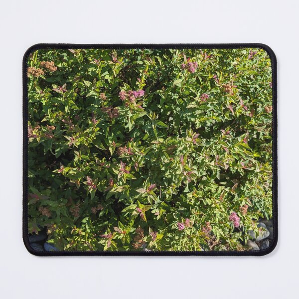 Item preview, Flowering bush designed and sold by ZMCInc.