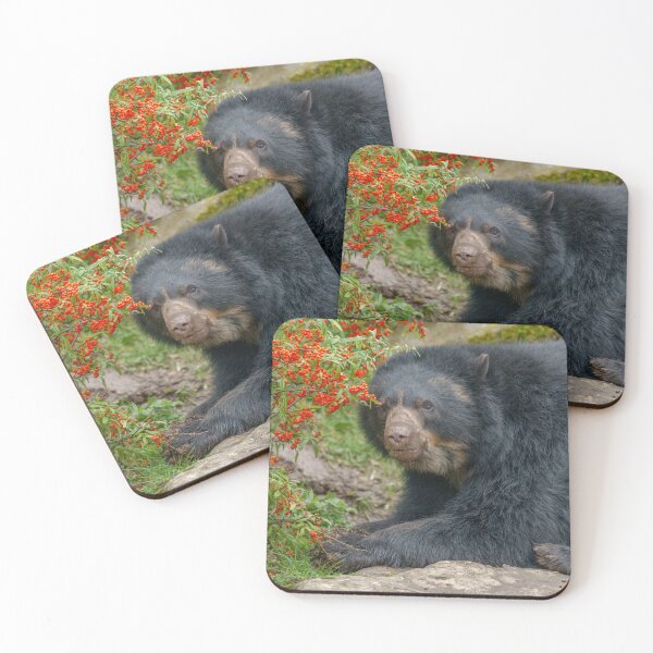Item preview, Spectacled Bear Lounging by Red Berries designed and sold by rawshutterbug.