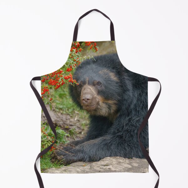 Item preview, Spectacled Bear Lounging by Red Berries designed and sold by rawshutterbug.