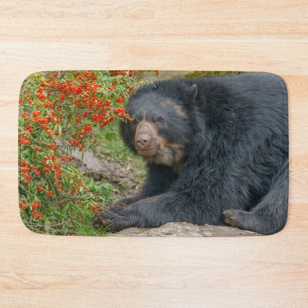 Item preview, Spectacled Bear Lounging by Red Berries designed and sold by rawshutterbug.