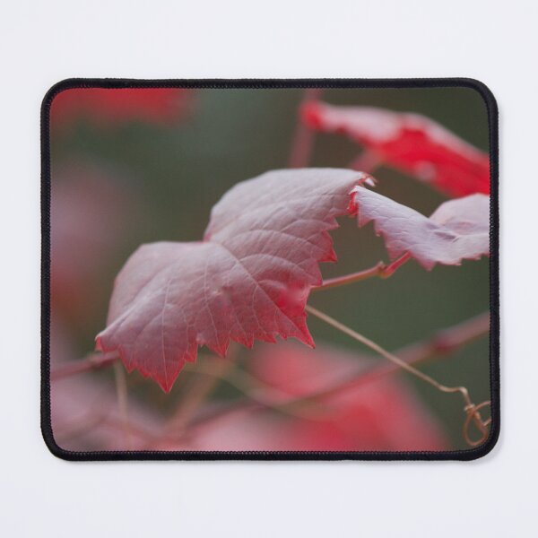 Item preview, The Vine designed and sold by Kim Chi Thai.