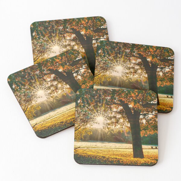 Item preview, Autumn Sun Barnsley  designed and sold by Alisonchambers2.