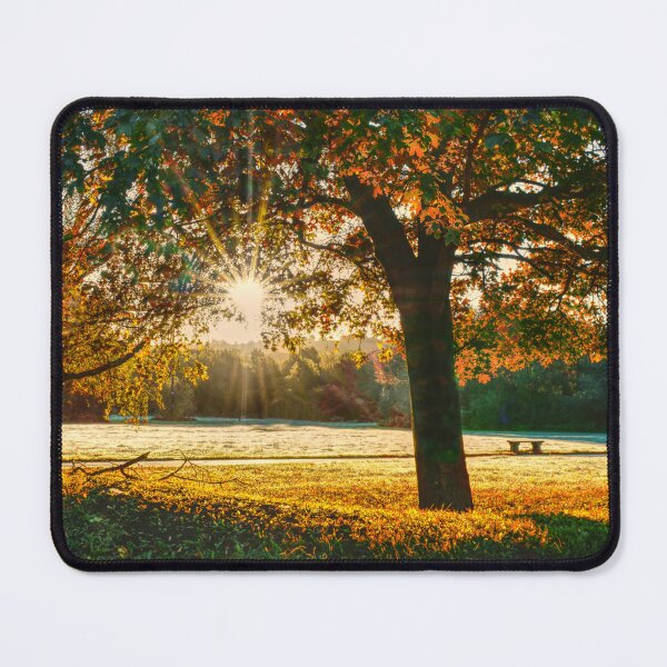 Item preview, Autumn Sun Barnsley designed and sold by Alisonchambers2.