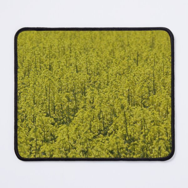 Item preview, Canola Field designed and sold by Kim Chi Thai.