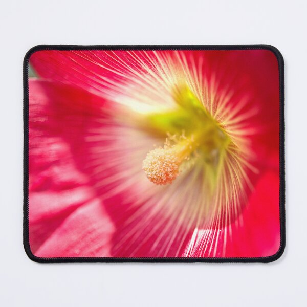Item preview, Sunlit Hollyhock Flower designed and sold by Alisonchambers2.