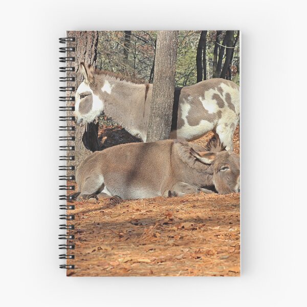 Item preview, Two donkeys designed and sold by Linda Crockett.