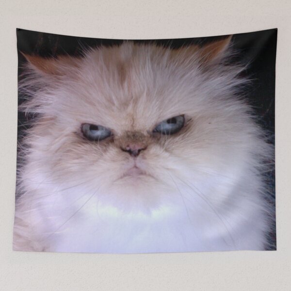 Item preview, Feline Fury designed and sold by raeoil533.