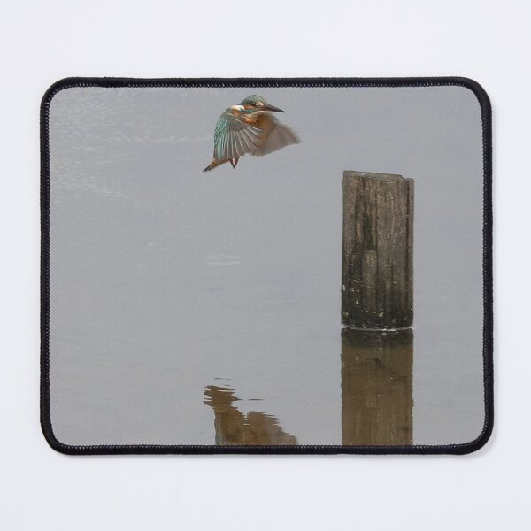 Item preview, kingfisher flying designed and sold by kathleenjean.