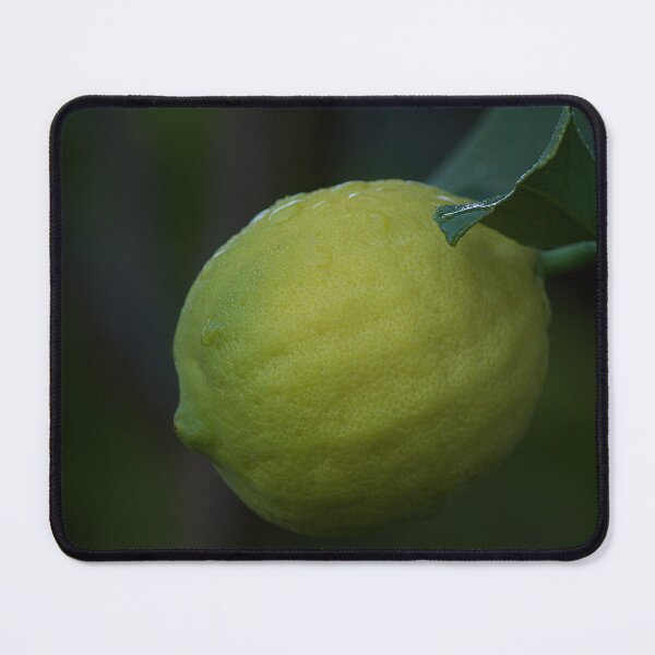 Item preview, Lemon designed and sold by Kim Chi Thai.