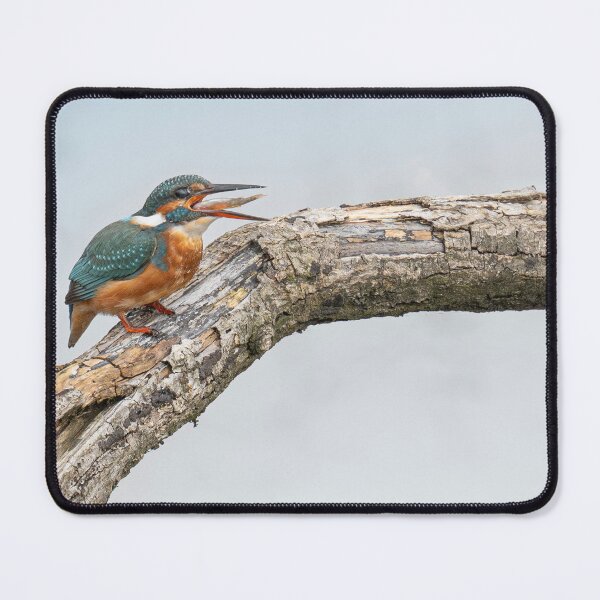 Item preview, kingfisher with a fish designed and sold by kathleenjean.