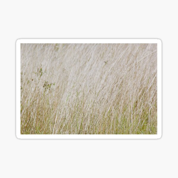 Item preview, Grass designed and sold by Kim Chi Thai.