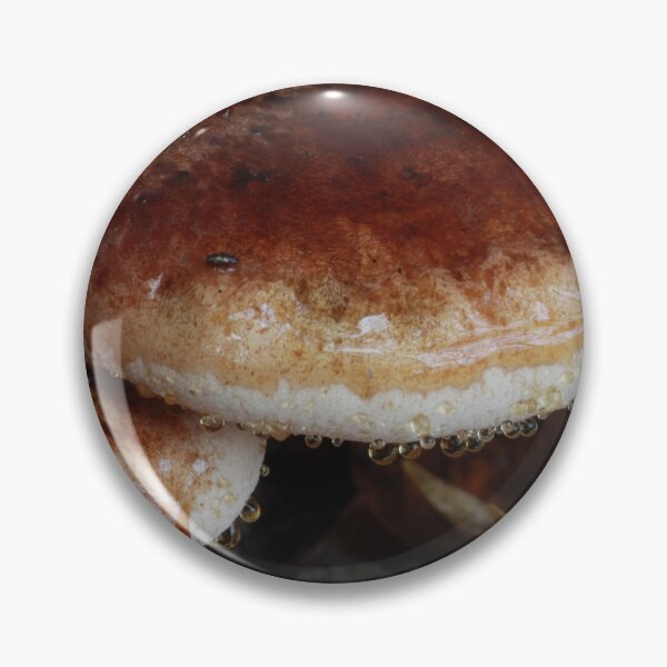 Item preview, Resinous Polypore Mushrooms:  Extreme Autumn Guttation designed and sold by WolfNoodles.
