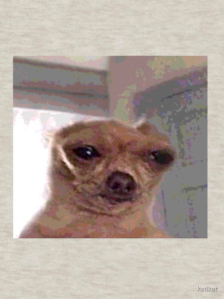 "Meme Dog" Pullover Hoodie by katikat Redbubble