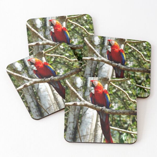Item preview, Large parrot, Copán Ruinas site in Honduras designed and sold by franck380.