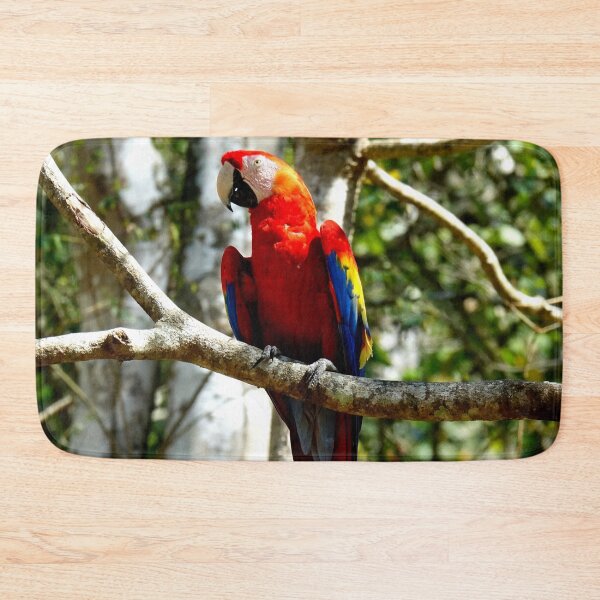 Item preview, Large parrot, Copán Ruinas site in Honduras designed and sold by franck380.