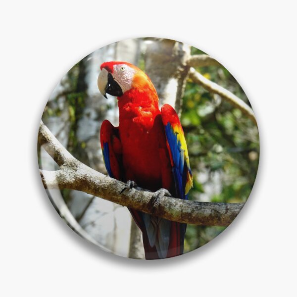 Item preview, Large parrot, Copán Ruinas site in Honduras designed and sold by franck380.