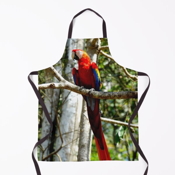 Item preview, Large parrot, Copán Ruinas site in Honduras designed and sold by franck380.
