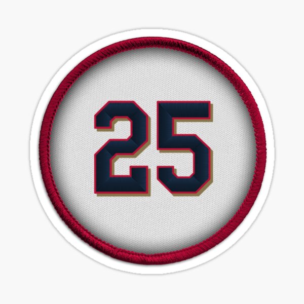 Minnesota Twins: Byron Buxton 2023 - Officially Licensed MLB Removable –  Fathead