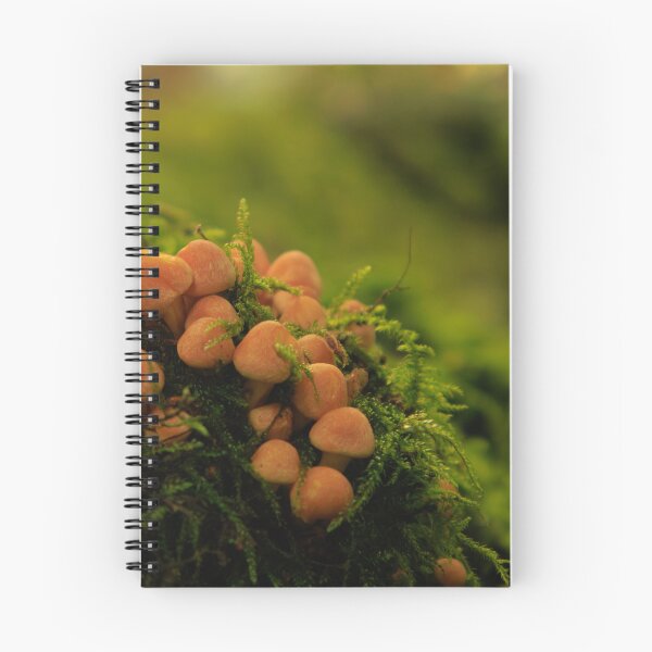 Item preview, Mini autumn fungi designed and sold by AlanDPhotos.