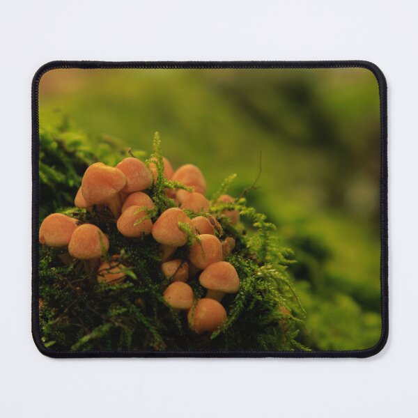 Item preview, Mini autumn fungi designed and sold by AlanDPhotos.